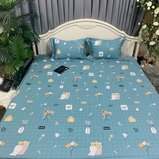 Combo 2 bộ ga chun trần 1m6x2m và 1 bộ 2mx2m2