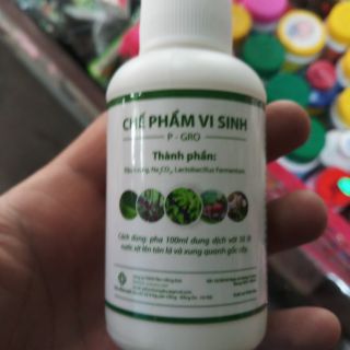 Chế phẩm vi sinh thần dược nẩy chồi và trị bệnh cho hoa lan hoa hồng
