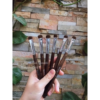 Cọ lẻ morphe
