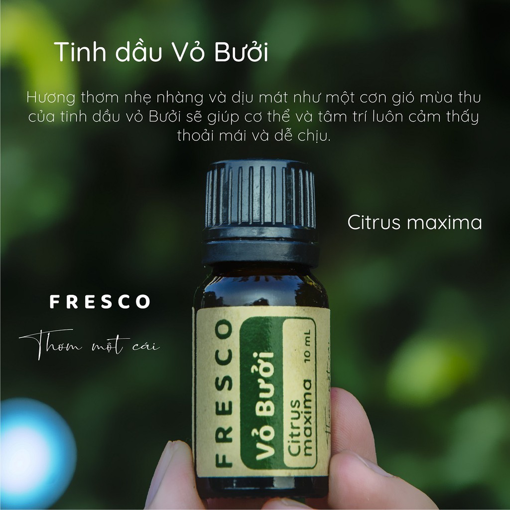 TINH DẦU BƯỞI 🌿𝐅𝐑𝐄𝐄𝐒𝐇𝐈𝐏🌿 CÓ KIỂM NGHIỆM CHẤT LƯỢNG(COA) - TINH DẦU THƠM PHÒNG THIÊN NHIÊN - ĐUỔI MUỖI - FRESCO