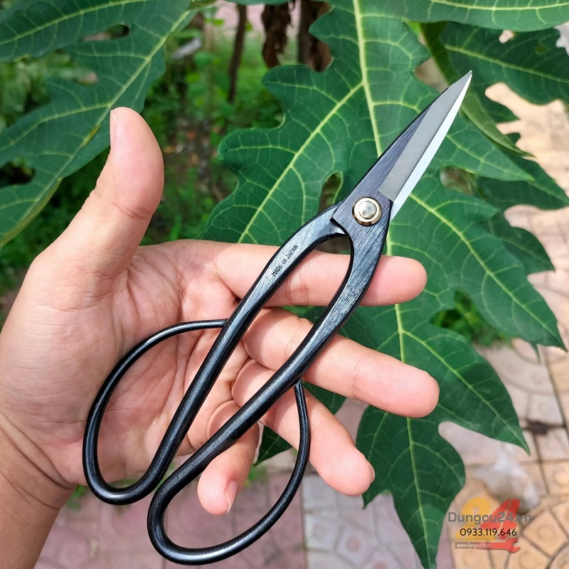 Kéo Nhật cắt tỉa cây kiểng bonsai mũi dài Mikisho