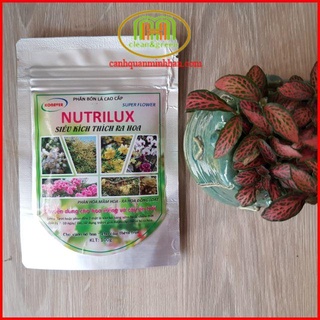 Siêu ra hoa Mai vàng Nutrilux super flower gói 100g phân hóa mầm hoa phun trước khi chuẩn bị ra hoa