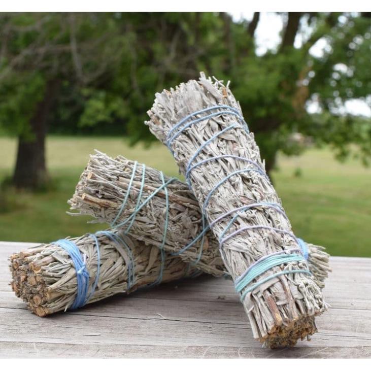 [MUA NEN]Các loại Bó lá xô thơm (Palo santo- White sage - Blue sage - Black sage - Rosemary)