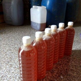 1l Mật ong cà phê Tây Nguyên nguyên chất loại 1