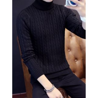 Áo len nam vặn thừng  cổ lọ (6 màu)
