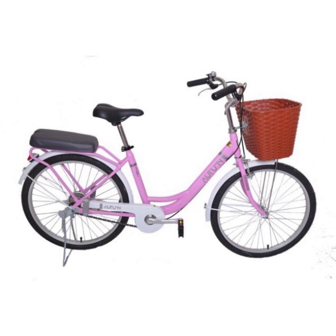 Xe đạp mini Nữ Autumn 24inch Thống Nhất chính hãng. Xe đạp TTL
