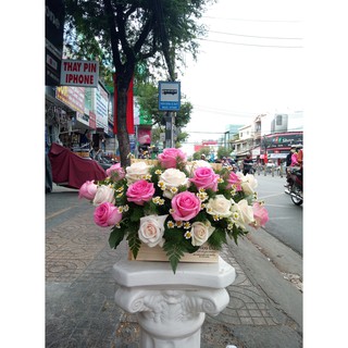 Hoa Tươi-Hoa Chúc Mừng-Hoa Hồng-Cúc Tana