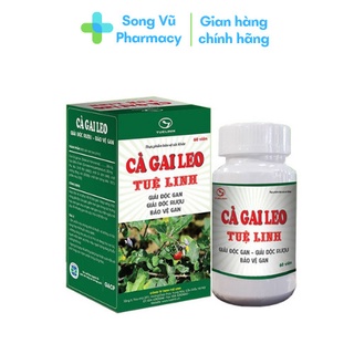 Cà gai leo Tuệ Linh - Giải độc gan, giải rượu, bảo vệ gan (Hộp 60 viên)