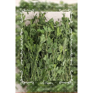Cỏ Alfalfa 🐹FREESHIP🐹 800G Cỏ Alfalfa Nguyên Cây Thức Ăn Cho Thỏ, Bọ, Chinchillas ...