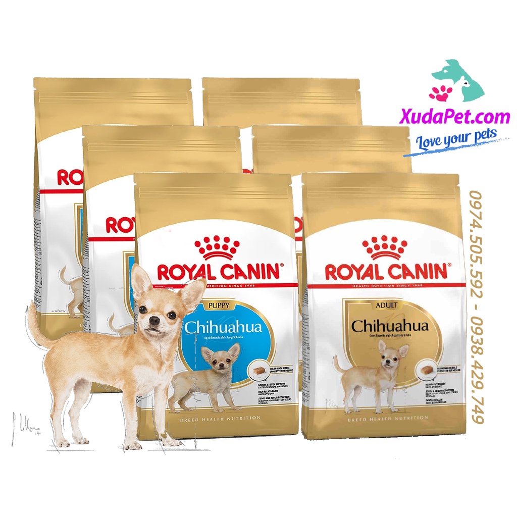 THỨC ĂN HẠT ROYAL CANIN CHO CHÓ CHIHUAHUA - SP000429