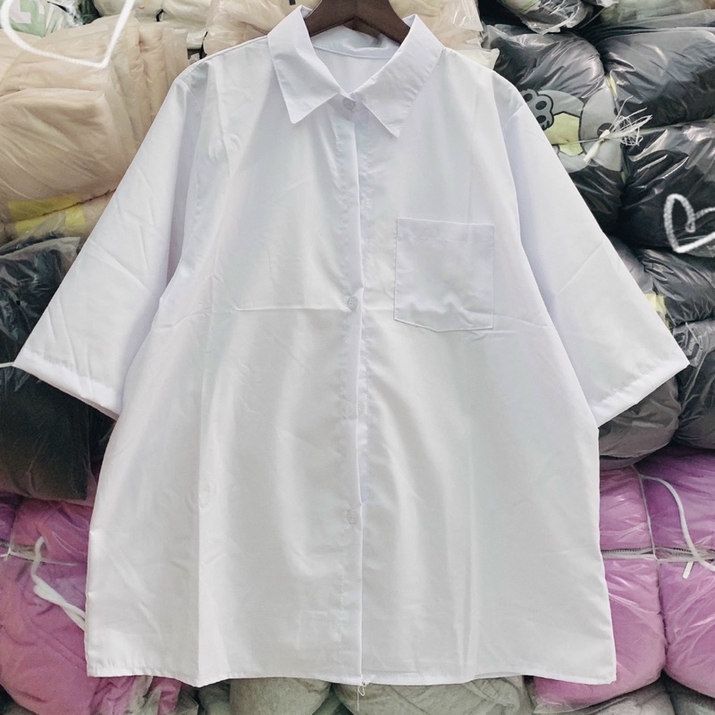 SƠ MI ĐI HỌC 89k