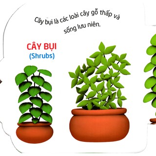 Sách: Thế Giới Trong Mắt Em - Thực Vật