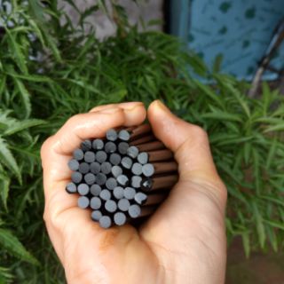 Đũa gỗ mun sừng (10 đôi)