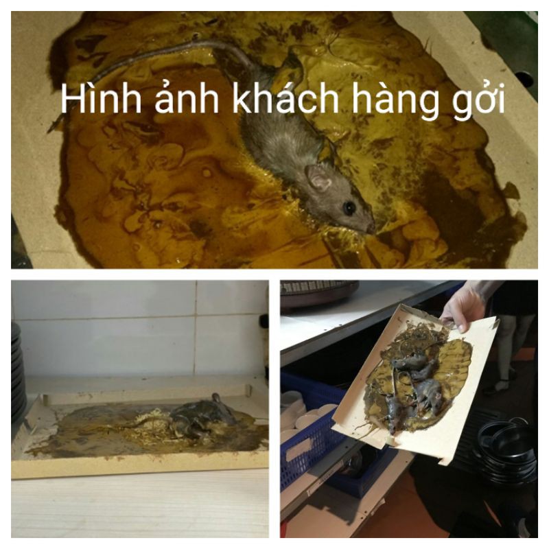 Keo Dính Chuột Siêu Dính,thông minh Tái sử dụng nhiều lần, keo bẫy chuột