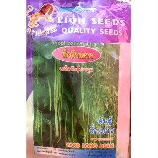 ĐẬU ĐŨA XANH SIÊU DÀI THÁI LAN