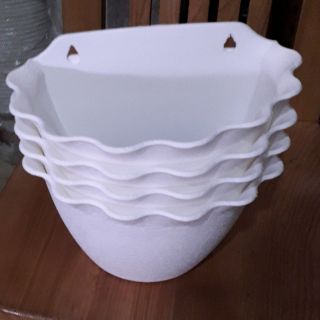 Sỉ 10 chậu áp tường màu trắng siêu hót