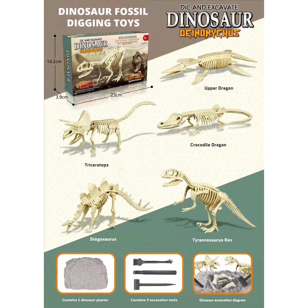 Bộ Đồ Chơi Hóa Thạch Khủng Long Tự Lắp Ráp Cho Bé