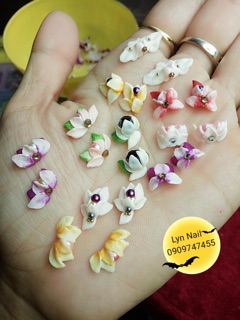 Hoa bột Nail gắn móng 50 bông chỉ có 200k