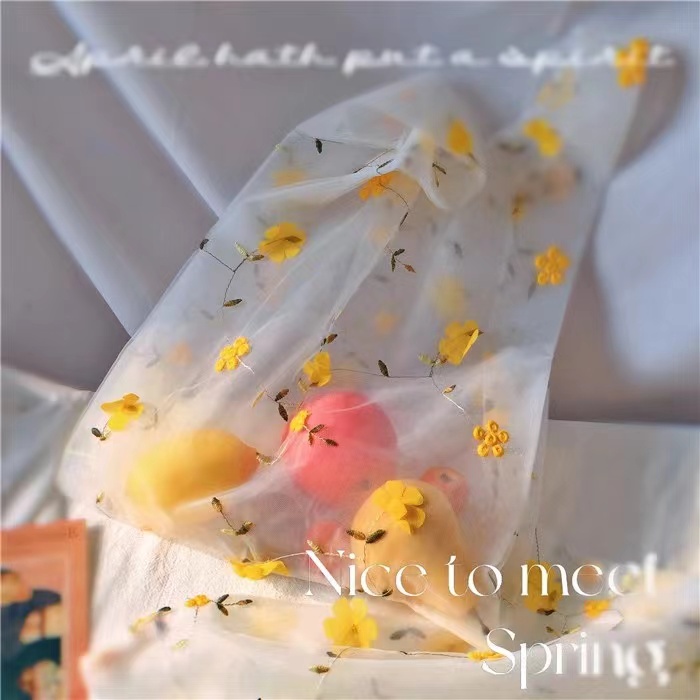 Ins Mesh Bag Embroidery Small Fresh Hand Bag Fairy Bag Organza Shoulder Bag Hand Shopping Bag