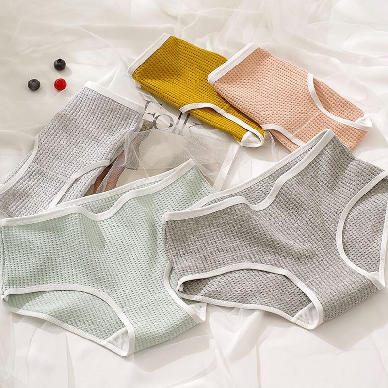 Cute Byte Bộ 3 Quần Lót Cotton Kháng Khuẩn Màu Đất Dễ Thương Cho Nữ