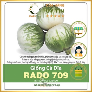 Hạt Giống Cà Dĩa Rado 709 gói 0.5gr
