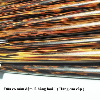 (ngoc thang) VĨ ĐŨA DỪA BẾN TRE 10 ĐÔI CAO CẤP, ĐŨA ĐẶC CHẮC