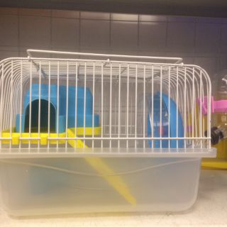 Lồng mini lửng 2 tầng đế thường và đế trong