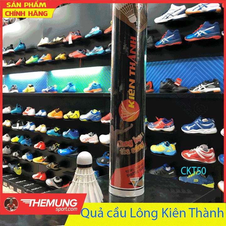 quả cầu Lông kiên thành