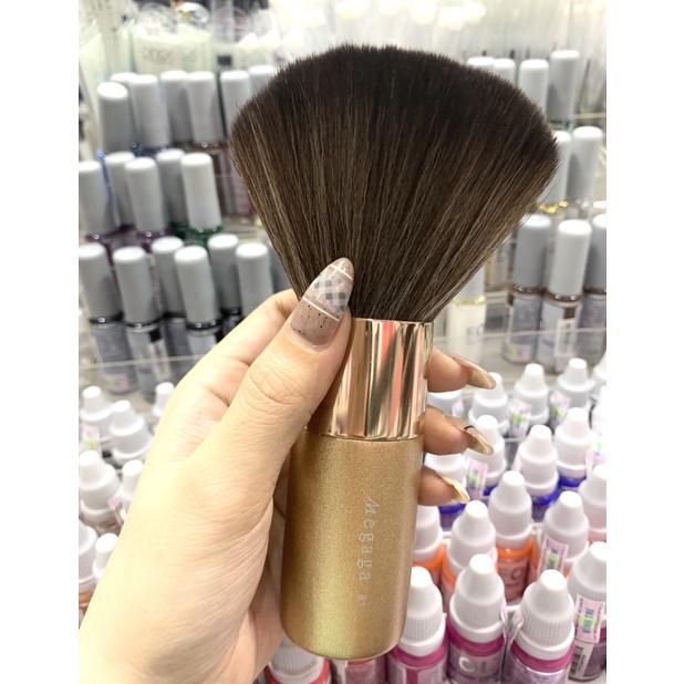 Phủi Bụi Khổng Lồ