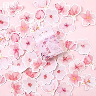 set hộp 46 nhãn dán sticker hoa anh đào blossom dễ thương