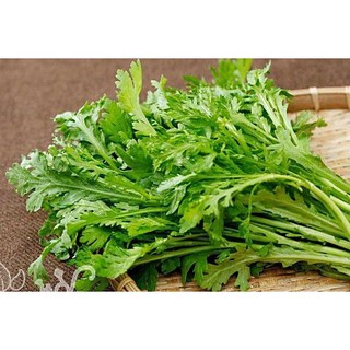 Hạt giống rau tần ô 20gr
