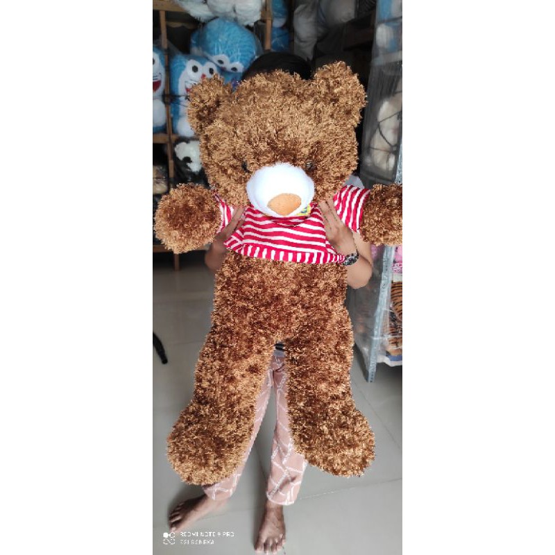 Bộ Quần Áo Hình Gấu Teddy Xinh Xắn Đáng Yêu