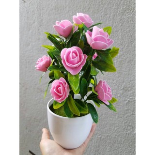 Chậu hoa hồng xinh trang trí
