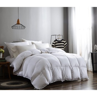 Ruột mền - 220x240cm gòn 160gr - RM222416