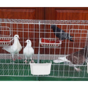 Rổ đẻ cho chim bồ câu loại tốt Phụ kiện lồng chim Halosung PK16