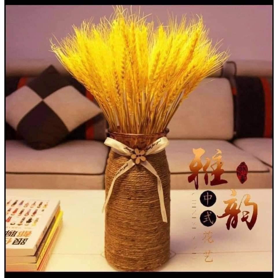 Set 100 bông lúa mạch vàng khô cắm mãi mãi tượng trưng no ấm phong thủy cho gia đình