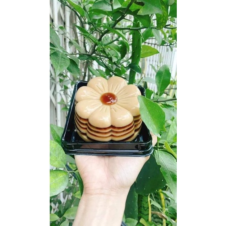 Khuôn làm rau câu, ấn xôi hình hoa mai trơn 9cm khuôn liền