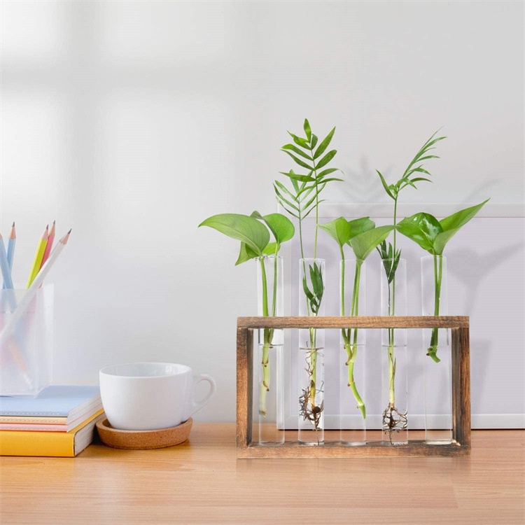/CÓ SẴN/ Khung gỗ kèm lọ thủy tinh cắm hoa - bình trồng cây thủy sinh, bình cắm hoa, lá