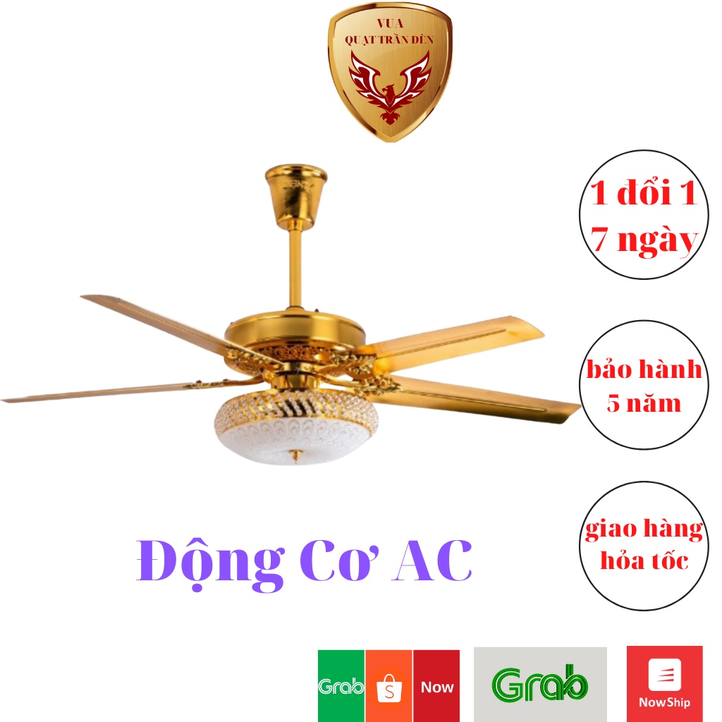 Quạt Trần Đèn 5 Cánh Mạ 24k QTD2151, Quạt Trần Trang Trí Phòng Khách Hiện Đại, Sang Trọng