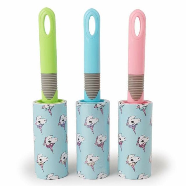 Cây lăn lông chó mèo