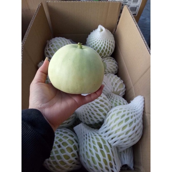 Dưa Lê Ninh Thuận Bao Ngon