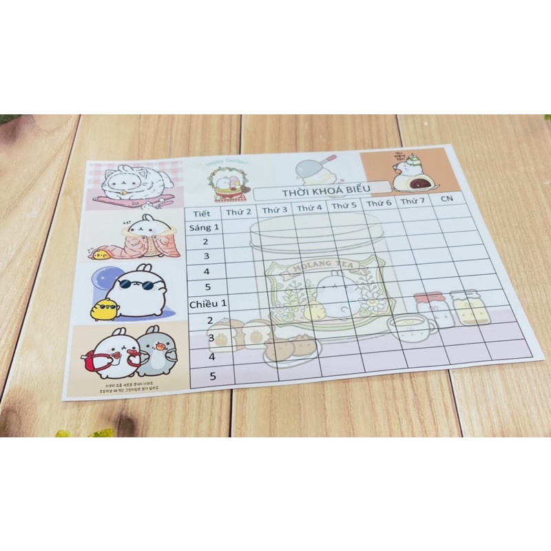 thời khoá biểu 5 tấm khác nhau cute ngộ nghĩnh / thời khoá biểu pony bơ vô diện 3 anh em nhà gấu mèo pusheen