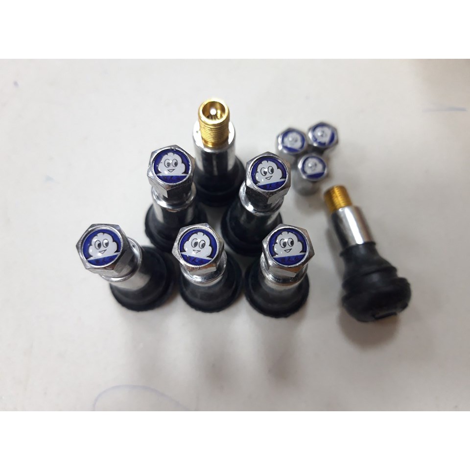 Combo 20 chiếc chân van ô tô - xe máy  TR413MC