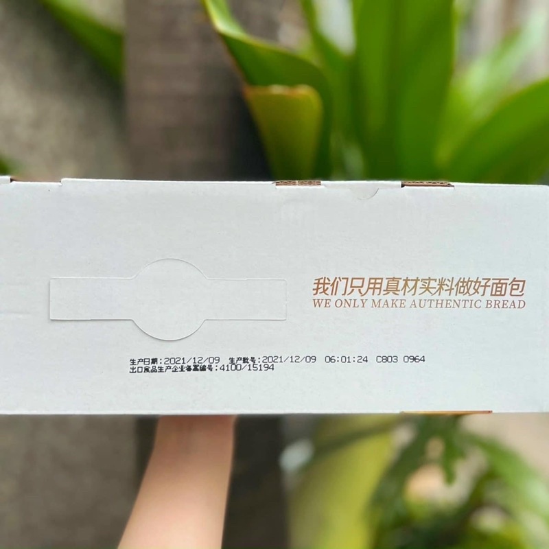 Thùng 2KG Bánh Sữa Chua HORSH Truyền Thống Đài Loan - Bánh Sữa Chua Ông Già Chuẩn Mềm Thơm Siêu Ngon