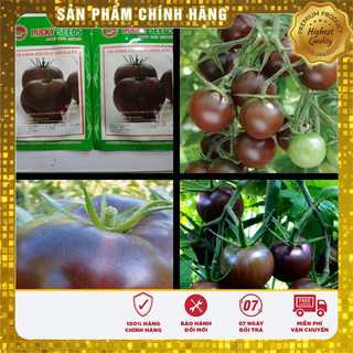 Hạt Giống Cà Chua Socola Quả To F1 Mỹ(10 hạt)