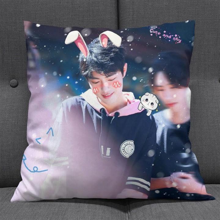 Gối Tiêu Chiến 30x30 gồm cả vỏ và ruột Trần Tình Lệnh Ma Đạo Tổ Sư Vương Nhất Bác Lam Vong Cơ Ngụy Vô Tiện