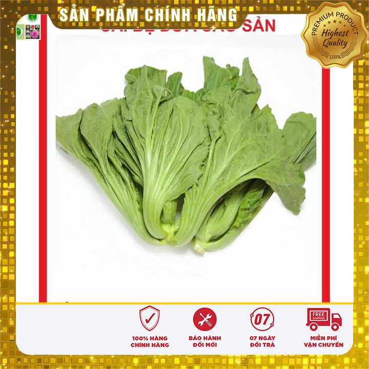 Hạt giống Cải Bẹ Dưa 20gram [Bán Sỉ]