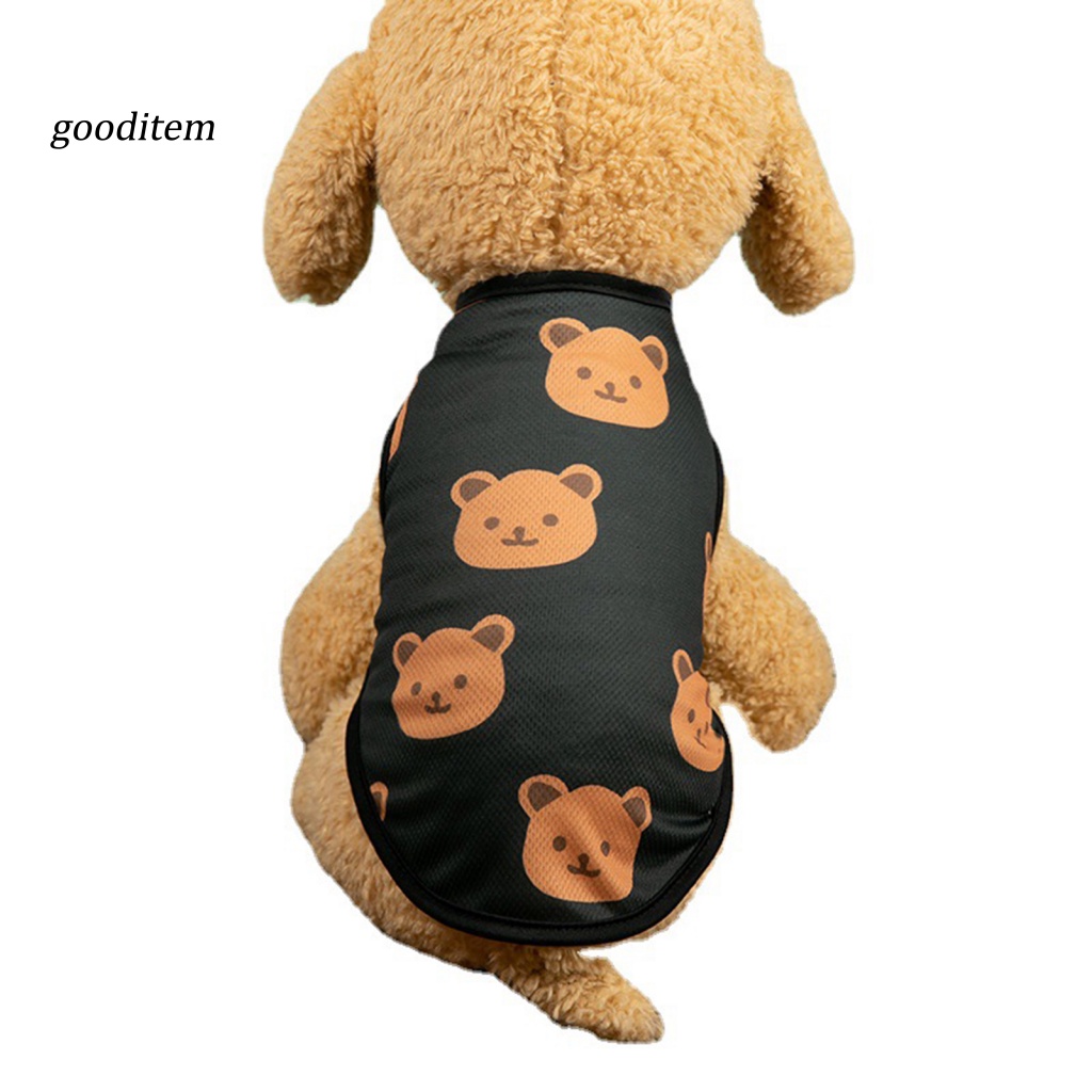 Áo Sweatshirt Mặc Mùa Hè Dễ Thương Cho Thú Cưng