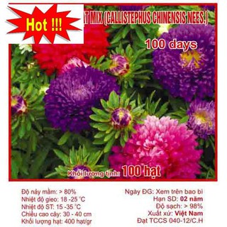 Hạt giống Cúc Đà Lạt (100 hạt)