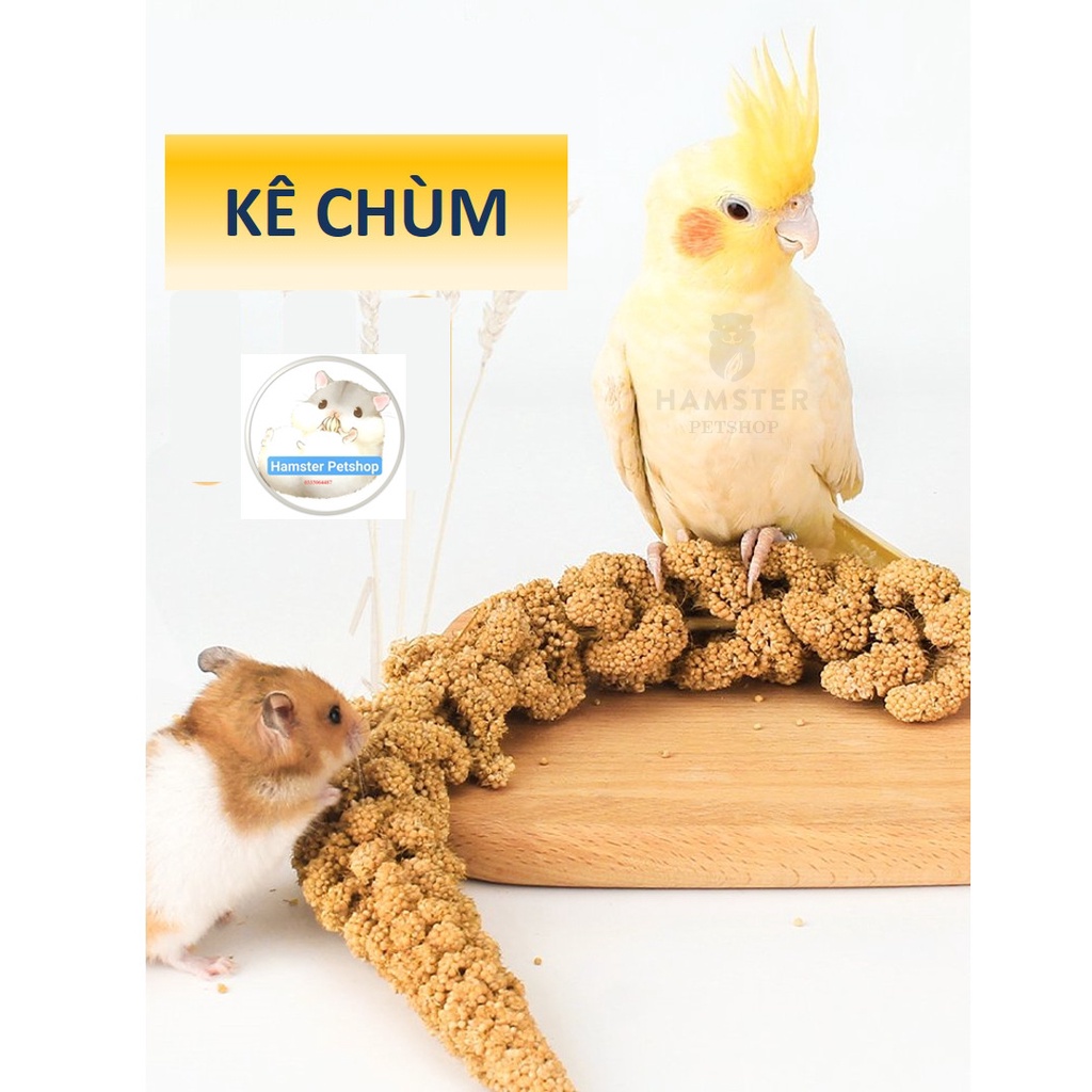 Kê chùm cho hamster, thỏ , bọ , sóc , chim